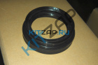 ������� ������� �������� ������� �����