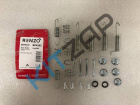 �������� ��������� ����������� ������� Renzo