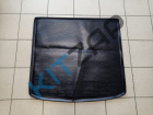 ������ ���������